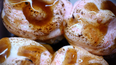 Similar image 21913021