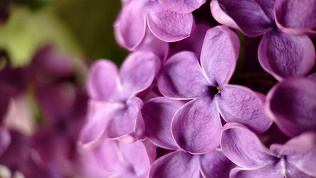 Similar image 21913218