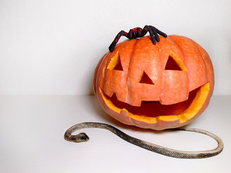 Similar image 21913219