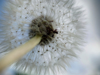 Similar image 21913546