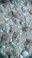 Similar image 21913552