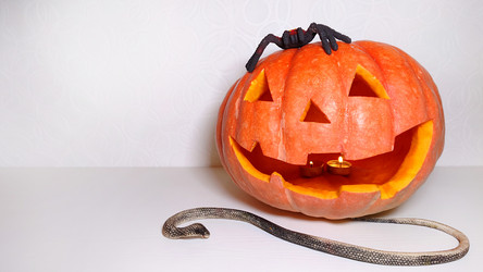 Similar image 21913770