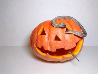 Similar image 21913772