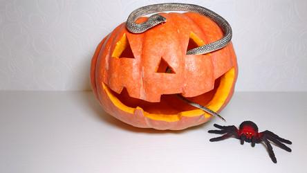 Similar image 21913774