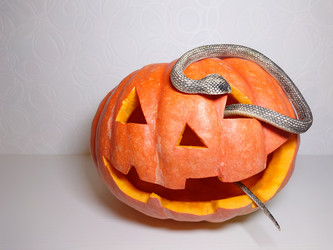 Similar image 21913776