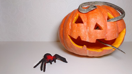 Similar image 21913780