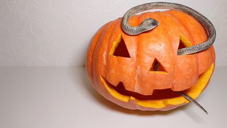 Similar image 21913782