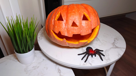 Similar image 21913786