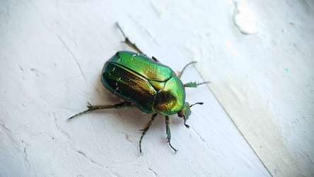 Similar image 21913787