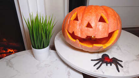 Similar image 21913788