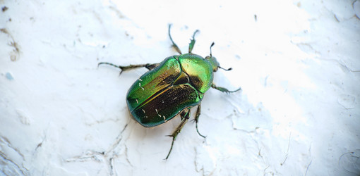 Similar image 21913789