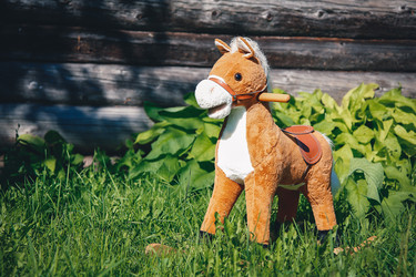 Similar image 21912990