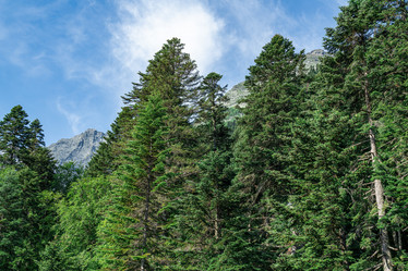 Similar image 21933807