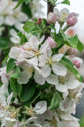 Similar image 21933817