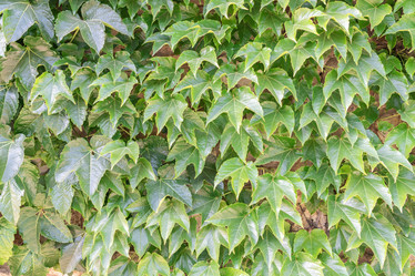 Similar image 21934138