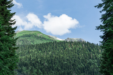 Similar image 21934141