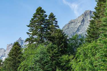 Similar image 21934149