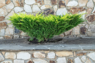 Similar image 21934155