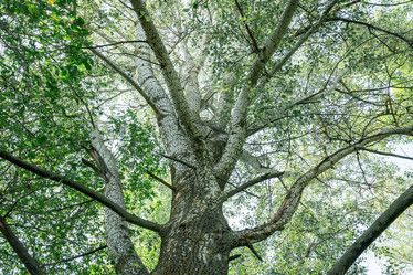 Similar image 21934157