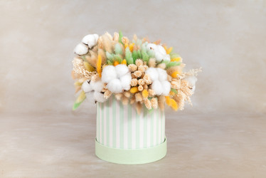 Similar image 21911783