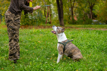 Similar image 21911786