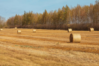 Similar image 21911479