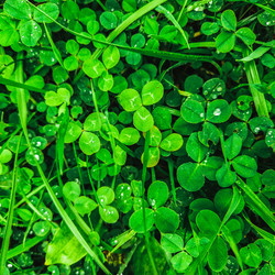 Similar image 21933182