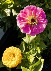 Similar image 21933183