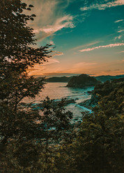 Similar image 21911799