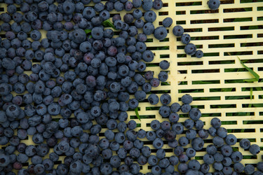 Similar image 21934713