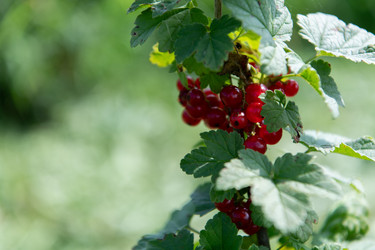 Similar image 21934717