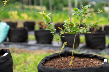 Similar image 21934718