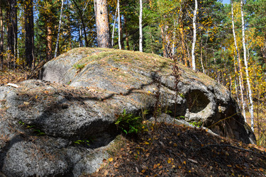 Similar image 21912245