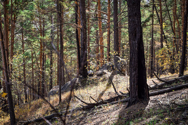 Similar image 21912247