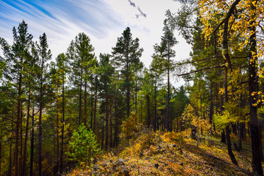 Similar image 21912249