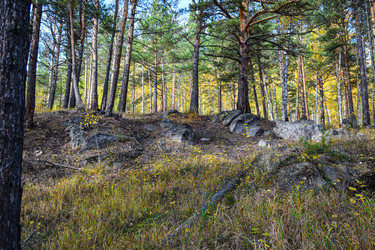 Similar image 21912253