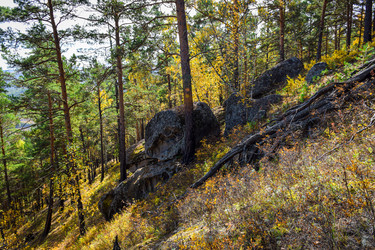 Similar image 21912257