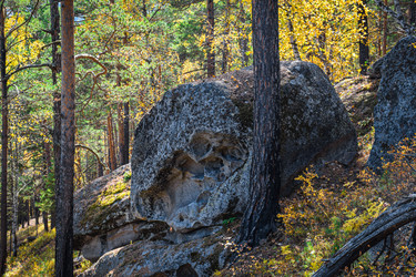 Similar image 21912258