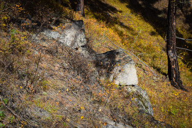 Similar image 21912260