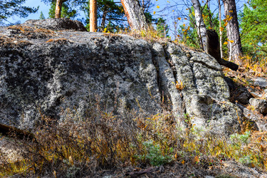 Similar image 21912261