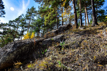 Similar image 21912262