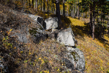 Similar image 21912263