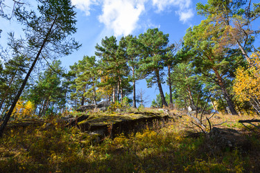 Similar image 21912266