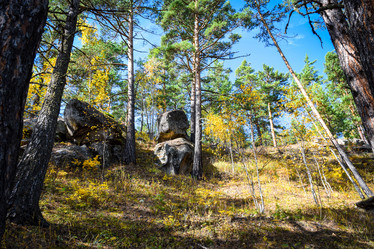 Similar image 21912268