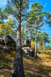 Similar image 21912269