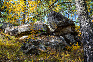 Similar image 21912270