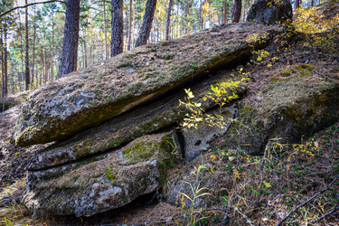 Similar image 21912271