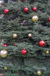 Similar image 21934164