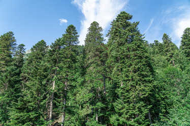 Similar image 21934166