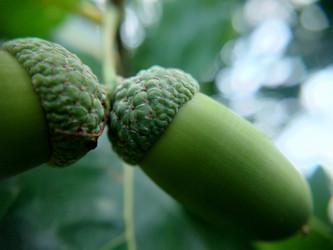 Similar image 21913555